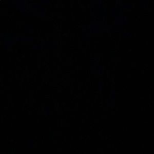 Meet your Posher, Jackson